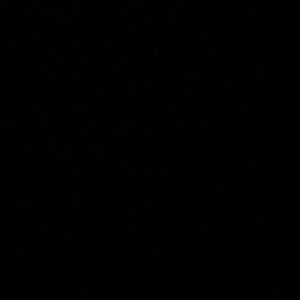 Meet your Posher, Warren